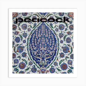 Peacock Art Print