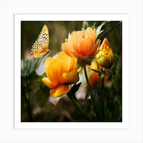 Butterfly On A Flower Art Print