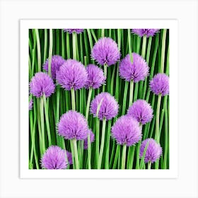 Chives Art Print