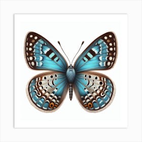 Butterfly of Neolycaena argali 3 Art Print