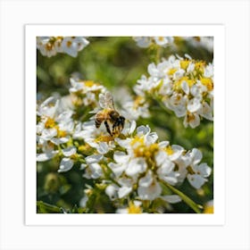 Bee On A Flower 6 Art Print