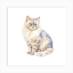 Burmilla Longhair Cat Portrait Art Print