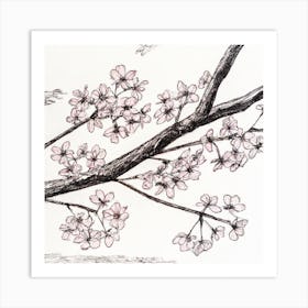 Cherry Blossoms 1 Art Print