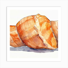 Watercolor Of A Seashell Art Print