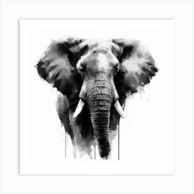 Elephant In Black And White 2 Art Print