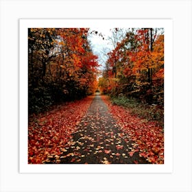 A Crisp American Autumn Scene Unfolds Embodying The Quiet Beauty Of A Fall Nature Trail Transitioni (6) Art Print