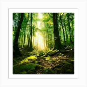 Firefly Enchanted Magical Forest Background 75959 Poster