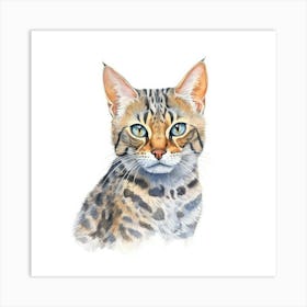 Bengal Marbled Cat Portrait 3 Art Print