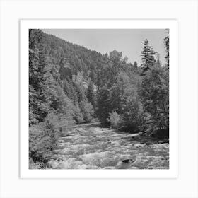 Untitled Photo, Possibly Related To Willamette National Forest, Lane County, Oregon, Salt Creek By Russell Lee Art Print