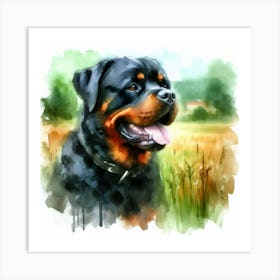 Watercolor Of Rottweiler Art Print