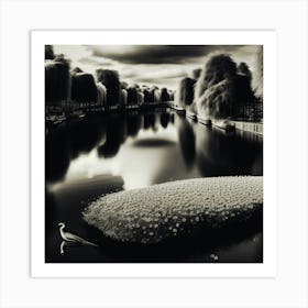 Black And White Infrared Photography Art Print