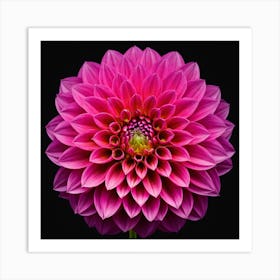 Vibrant pink dahlia flower 7 Art Print