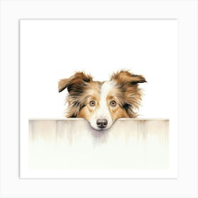 Shetland Sheepdog 2 Art Print