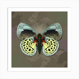 Mechanical Butterfly The Asterope Leprieuri Philotina On A Beige Background Art Print