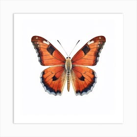 Butterfly 39 Art Print