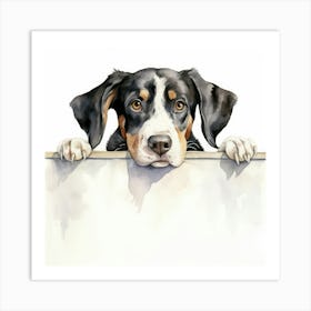 Bernese Mountain Dog 11 Art Print