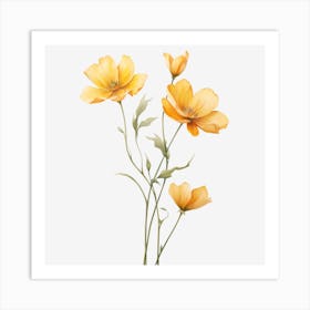 Yellow Poppies Art Print