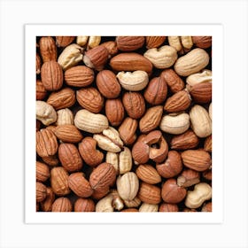 Close Up Of Nuts 4 Art Print