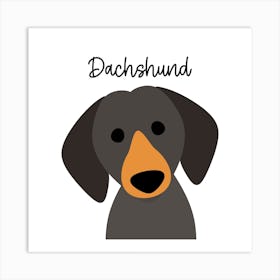 Dachshund Art Print