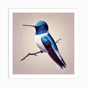 Hummingbird 3 Art Print