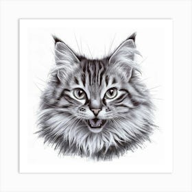 A Vibrant And Dynamic Pencil Portrait Of A Cat Art Print