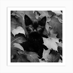 Black and White Black Kitten In Leaves 3 Art Print