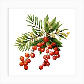 Red Berries Art Print