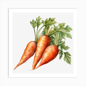 Carrots 1 Art Print