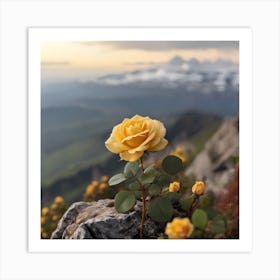 Yellow Rose In The Mountains Art Print