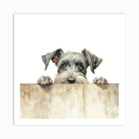 Standard Schnauzer Dog 1 Art Print