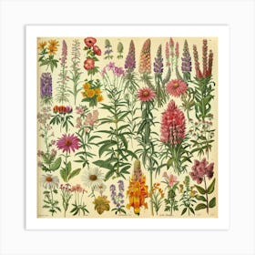 Wildflowers 6 Art Print