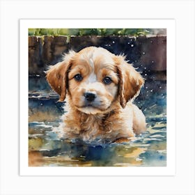 Puppy In The Water Art Print