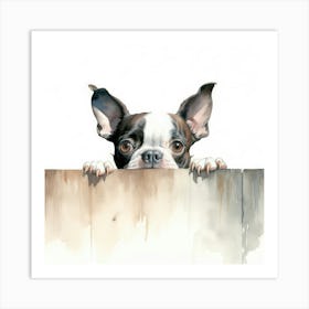 Boston Terrier 2 Art Print