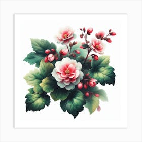 Flower of Begonia Art Print