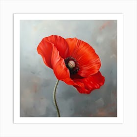 Poppies Art Print