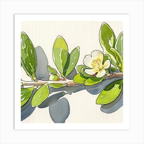 Jasmine Flower Art Print