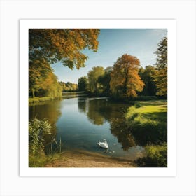 Swan By The Lake Art Print