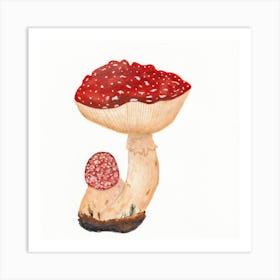 Fly Agaric Watercolor Art Print