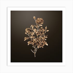 Gold Botanical Burgundy Cabbage Rose on Chocolate Brown Art Print