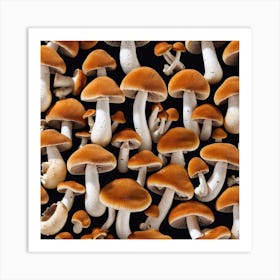 Fungi Art Print