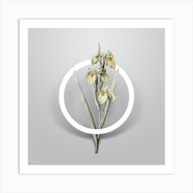 Vintage Irises Minimalist Floral Geometric Circle on Soft Gray n.0282 Art Print