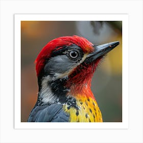 Woodpecker Art Print