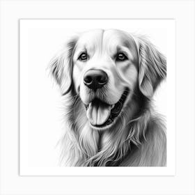 Golden Retriever portrait in charcoal drawing Art Print