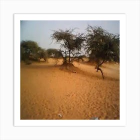 Sahara Desert Art Print