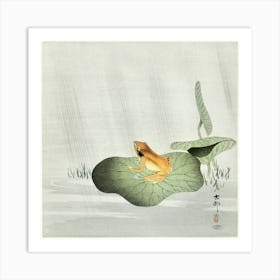 Frog On Lotus Leaf (1900 1930), Ohara Koson Art Print