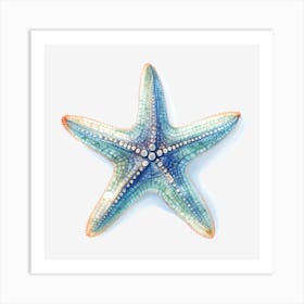 Starfish 2 Art Print