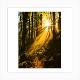 Sunbeams In The Forest 4 Art Print