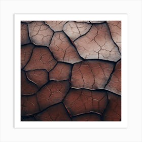 Cracked Sand 2 Art Print