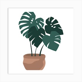 Monstera Plant Art Print