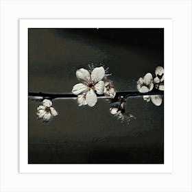 Blossoms Art Print